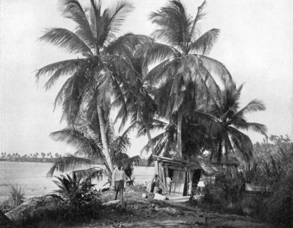 On the road to Blue Hole, Port Antonio, Jamaica, c1905.Artist: Adolphe Duperly & Son