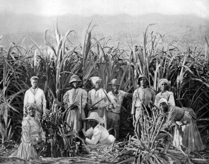 Sugar cane cutters, Jamaica, c1905.Artist: Adolphe Duperly & Son