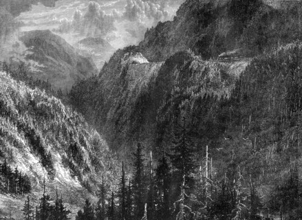 The Black Forest, Germany, 19th century. Artist: WHJ Pool