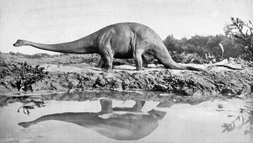 A diplodocus, 20th century. Artist: Unknown
