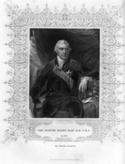 Sir Joseph Banks (1743-1820), English naturalist, botanist and science patron, 19th century.Artist: H Robinson
