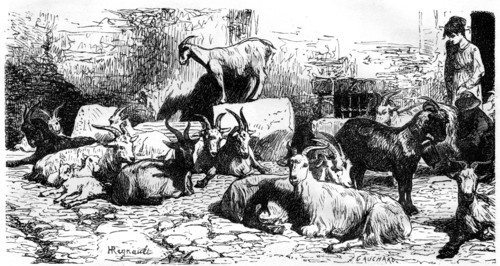 Goats of the Roman countryside, Italy, 19th century. Artist: J Cauchard