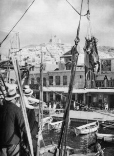The shipping of mules, Syros Island, Greece, 1937.Artist: Martin Hurlimann
