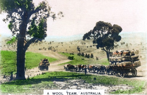 A wool team, Australia, c1920s.Artist: Cavenders Ltd