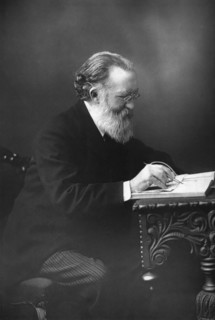 Justin McCarthy (1830-1912), Irish politician, historian and novelist, 1893.Artist: W&D Downey