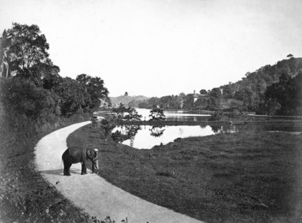Kandy Lake, Kandy, Sri Lanka, c1910s. Artist: Unknown