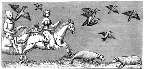 How to make young hawks fly, 14th century (1849). Artist: Unknown