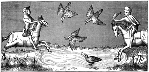 How to bathe a new falcon, 14th century (1849). Artist: Unknown