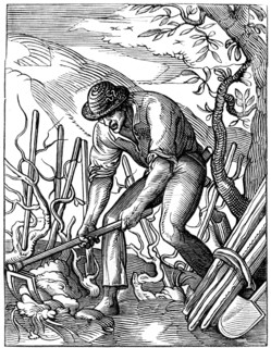 Winemaker, 16th century (1849).Artist: Jost Amman