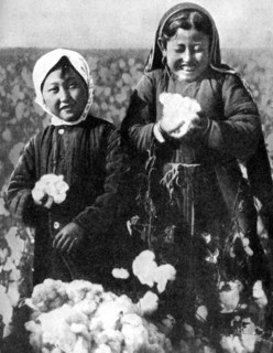 Girls in a cotton field, Kazakhstan, 1936. Artist: Unknown