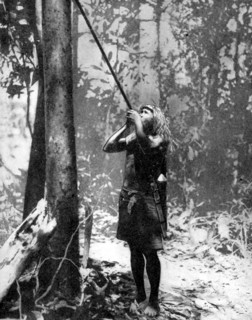Pygmy tree dweller using a blow-gun, Malaya, 1936.Artist: Malayan Information Agency