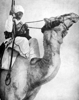 Desert warrior of Africa, 1936.Artist: Fox Photos