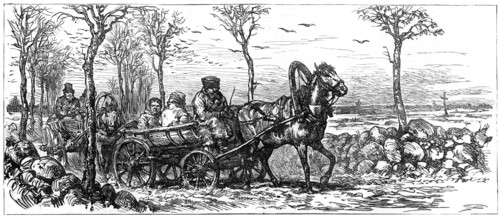 On a road near St Petersburg, Russia, 1882. Artist: Unknown