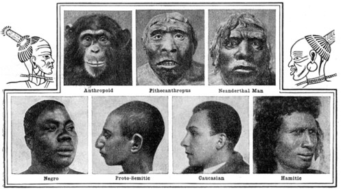 Nature's evolutionary designs in noses, 1922. Artist: Unknown