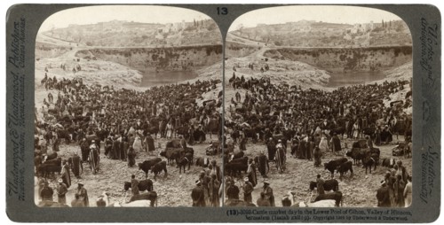 Cattle market day, in the lower pool of Gihon, Valley of Hinnom, Jerusalem, Palestine, 1900.Artist: Underwood & Underwood