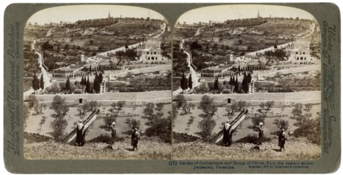 The Garden of Gethsemane and the Mount of Olives, Palestine, 1908.Artist: Underwood & Underwood