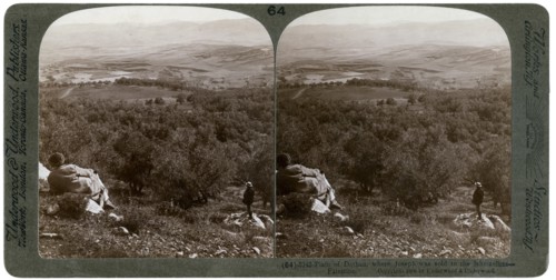 The plain of Dothan, Palestine, 1900.Artist: Underwood & Underwood