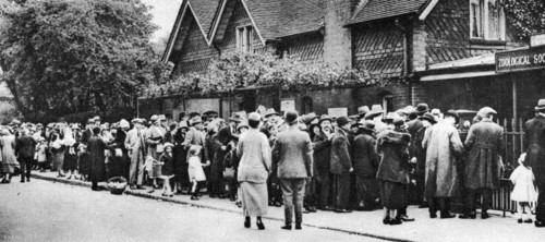 A queue for the zoo on a national holiday, London, 1926-1927. Artist: Unknown