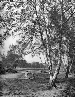 Putney Heath, London, 1926-1927. Artist: McLeish