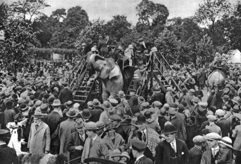 Elephant rides at London Zoo, 1926-1927. Artist: McLeish