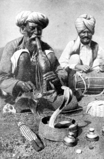 Charming the venom from a cobra; a snake charmer with a mongoose, India, 1922.Artist: JH Powell