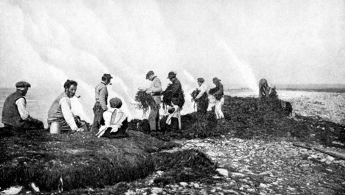 Burning seaweed for kelp, Aran Islands, Ireland, 1922.Artist: AW Cutler