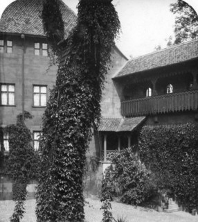 Lime tree in a courtyard, Nuremberg, Bavaria, Germany, c1900s.Artist: Wurthle & Sons