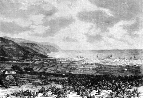 Santa Cruz, Tenerife, Spain, 1895. Artist: Unknown