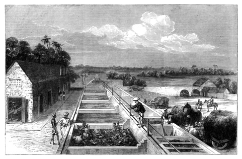 Manufacturing indigo in Tirhoot (Muzaffarpur), Lower Bengal, 1869. Artist: Unknown