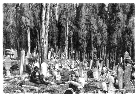 Cypress trees in the cemetery of Scutari, Turkey, 1895. Artist: Unknown