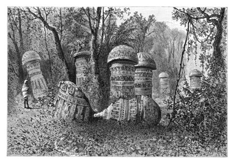 Ruins of an Ahom temple, Dinajpur, Upper Assam, India, 1895.Artist: Armand Kohl