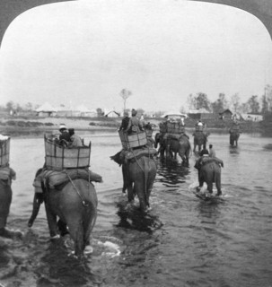 Returning to camp after a day's shoot in the Behar jungle, India, 1909.Artist: Underwood & Underwood
