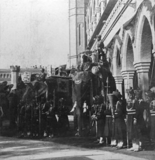 The viceroy's elephant, Delhi, India, 1900s.Artist: H Hands & Son