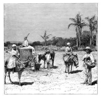 Group of Haitians, c1890. Artist: Unknown