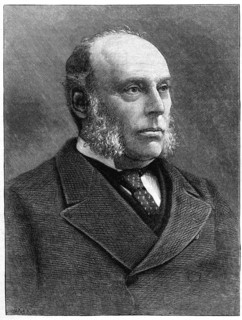 William Henry Smith (1825-1891), British politician, 19th century. Creator: Unknown.