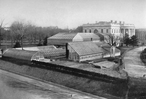 The White House and greenhouses, Washington DC, USA, 1908. Artist: Unknown