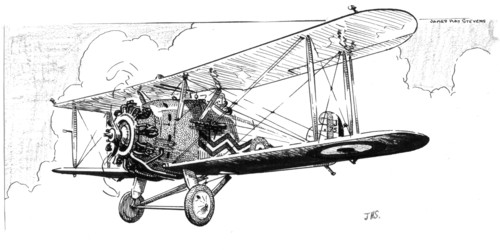 The Hawker Danecock aeroplane, c1920s.Artist: James Hay Stevens