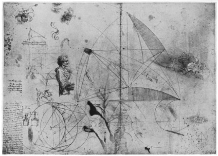 Sheet of studies, late 15th or early 16th century (1954).Artist: Leonardo da Vinci