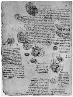 Diagram of the blood vortex in the heart, late 15th or early 16th century (1954). Artist: Leonardo da Vinci