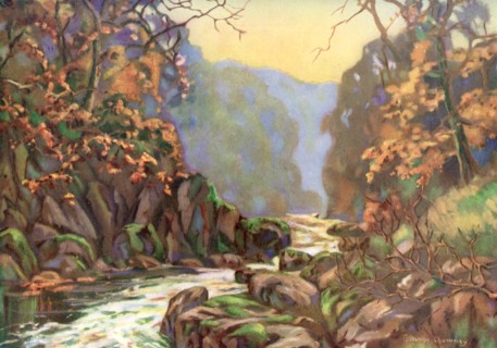 'On the Dargle, County Wicklow', Ireland, 1924-1926.Artist: Catharine Chamney