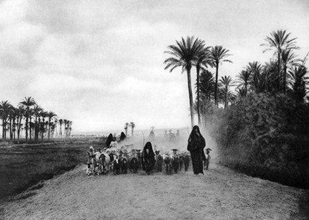 Shepherding sheep near Cairo, Egypt, c1920s. Artist: Unknown