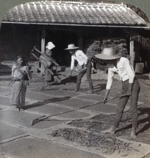 Farmers with bamboo rakes spreading millet on mats to dry for winter, near Yokohama, Japan, 1904. Artist: Underwood & Underwood