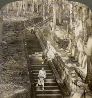 Ancient stone stairway up the hill to the tomb of Shogun Ieyasu, Nikko, Japan, 1904.Artist: Underwood & Underwood