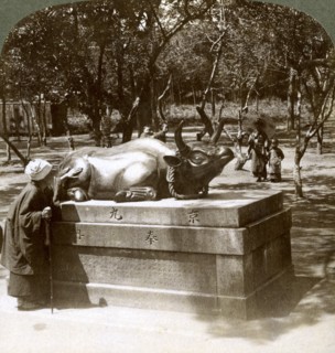 Devout woman stroking a bronze bull to cure rheumatism, Kitano Tenjin temple, Kyoto, Japan, 1904. Artist: Underwood & Underwood