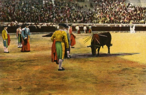 Bull fight, 20th century. Artist: Unknown