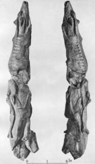 Point of mammoth tusk carved with reindeer, from Montastruc, Bruniquel, France, 1926. Artist: Unknown