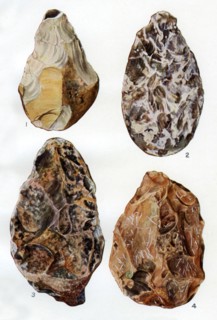 Specimens of patination in Britain, 1926. Artist: Unknown