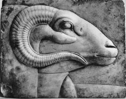 A ram's head, Egypt, 1936. Artist: Unknown