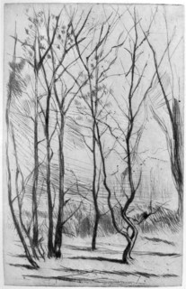 'The Dam Wood', c1875 (1904).Artist: James Abbott McNeill Whistler