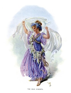 'The Wild Hyacinth', 1899. Artist: Unknown